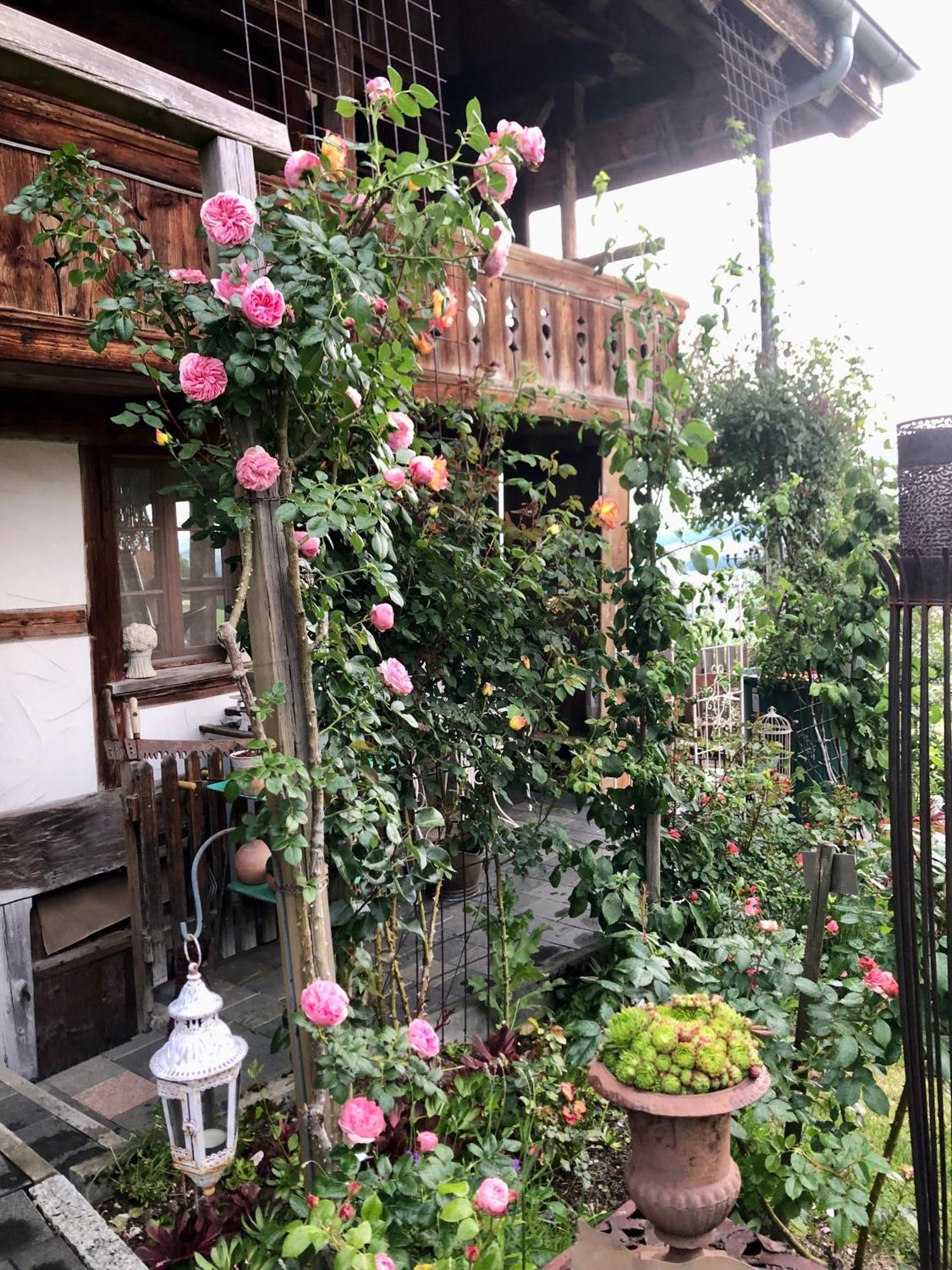 דירות Gerzensee Rosenhuesli מראה חיצוני תמונה